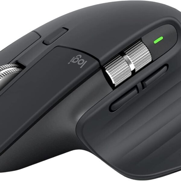 mouse