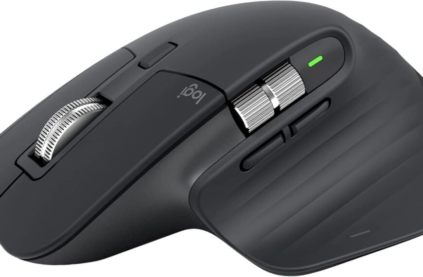 mouse