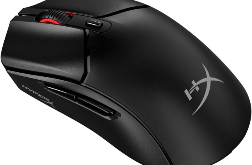 mouse